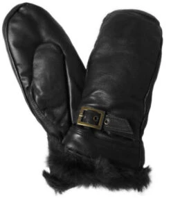 Hestra Dameswant Gaucho Monica Zwart